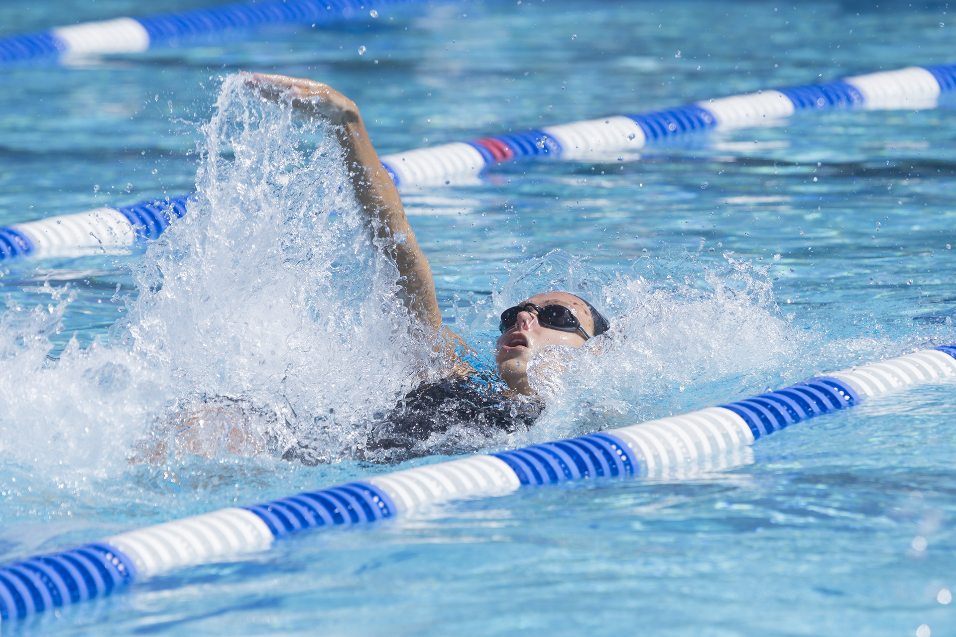 Troubies positioned for section swim title defense