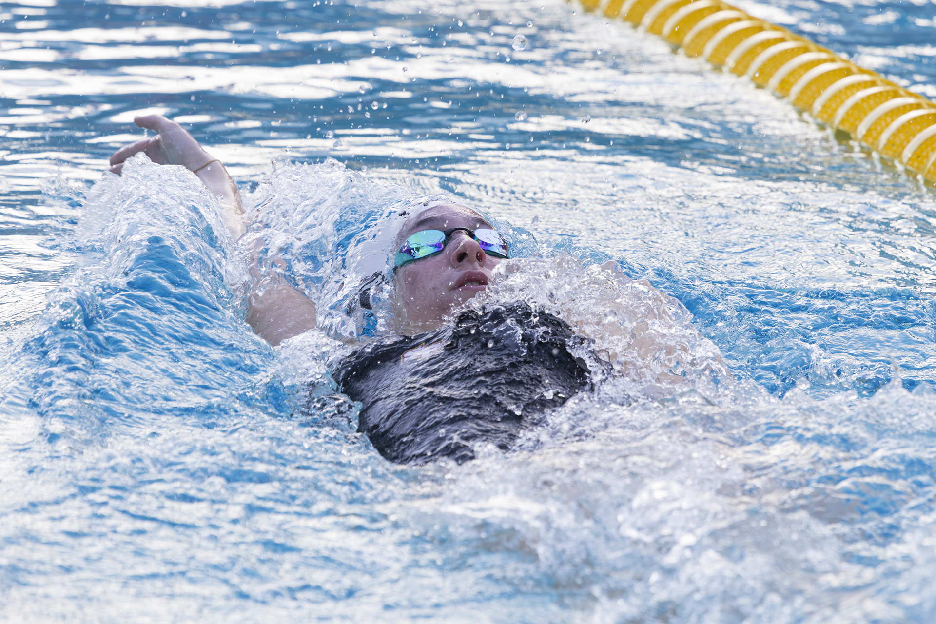 Strong debuts propel SF to dual swim victory