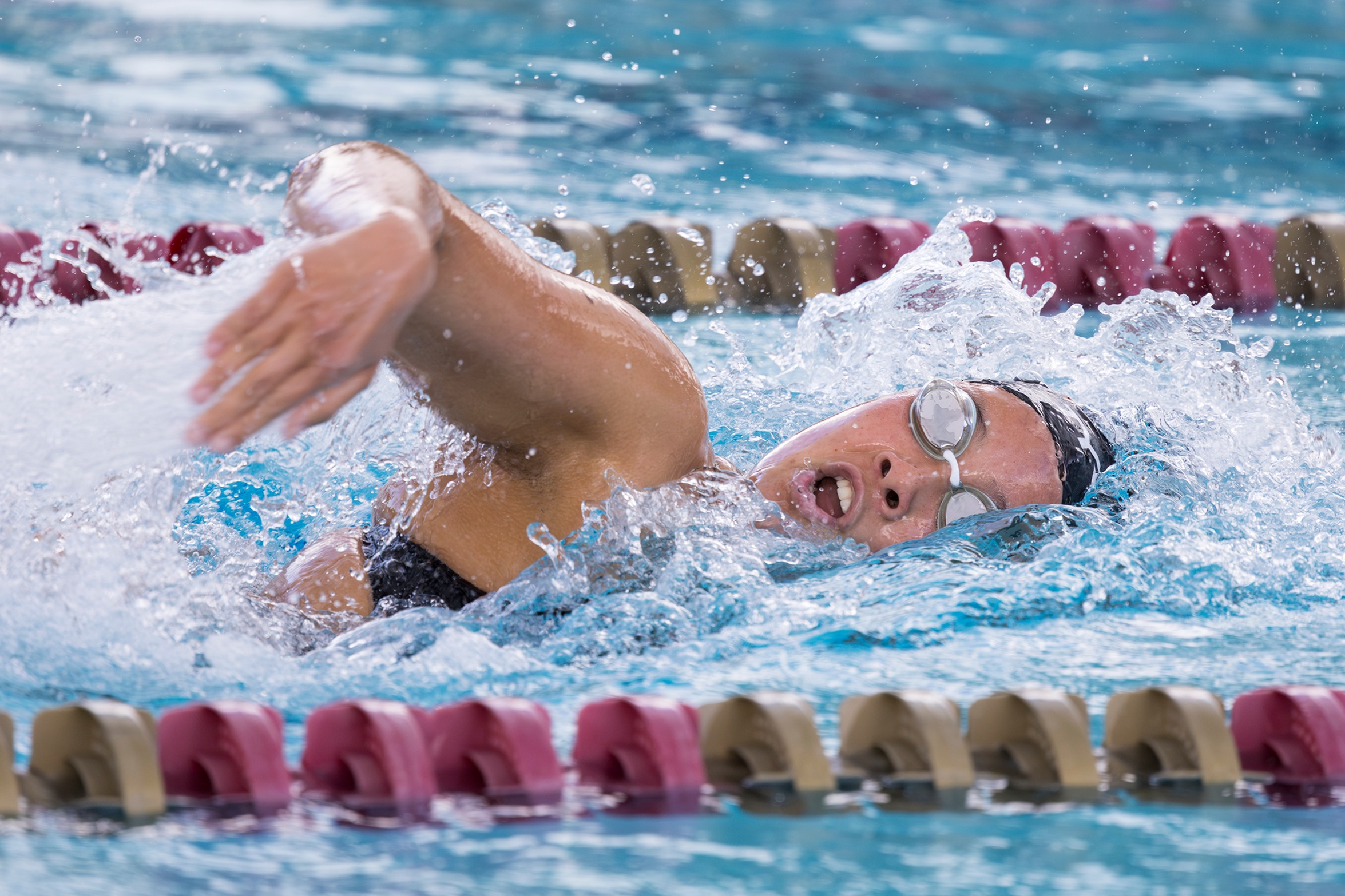 Troubies take on Wildcats, Bulldogs in SFL double dual