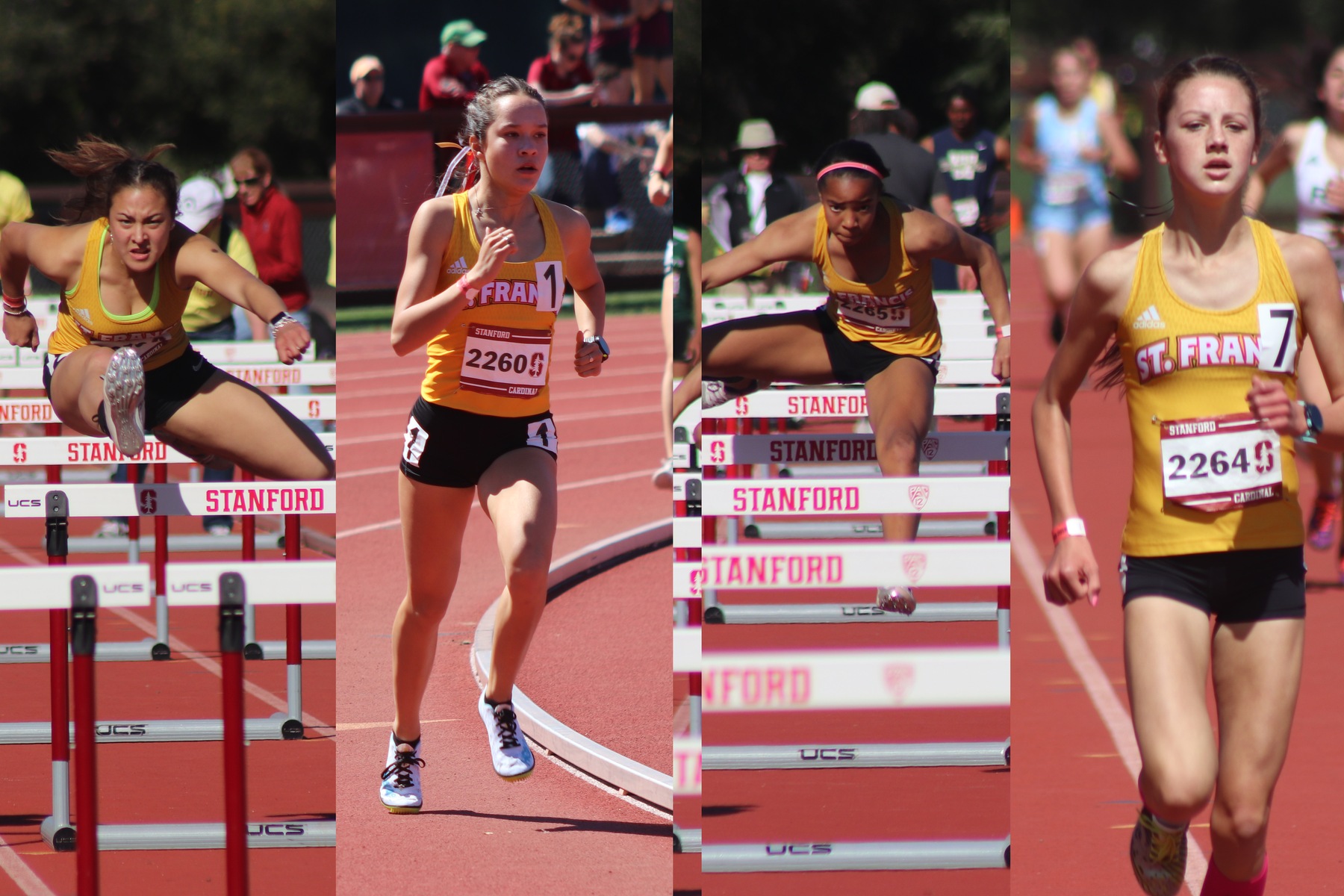 Track and Field Shines at Meet of Champions
