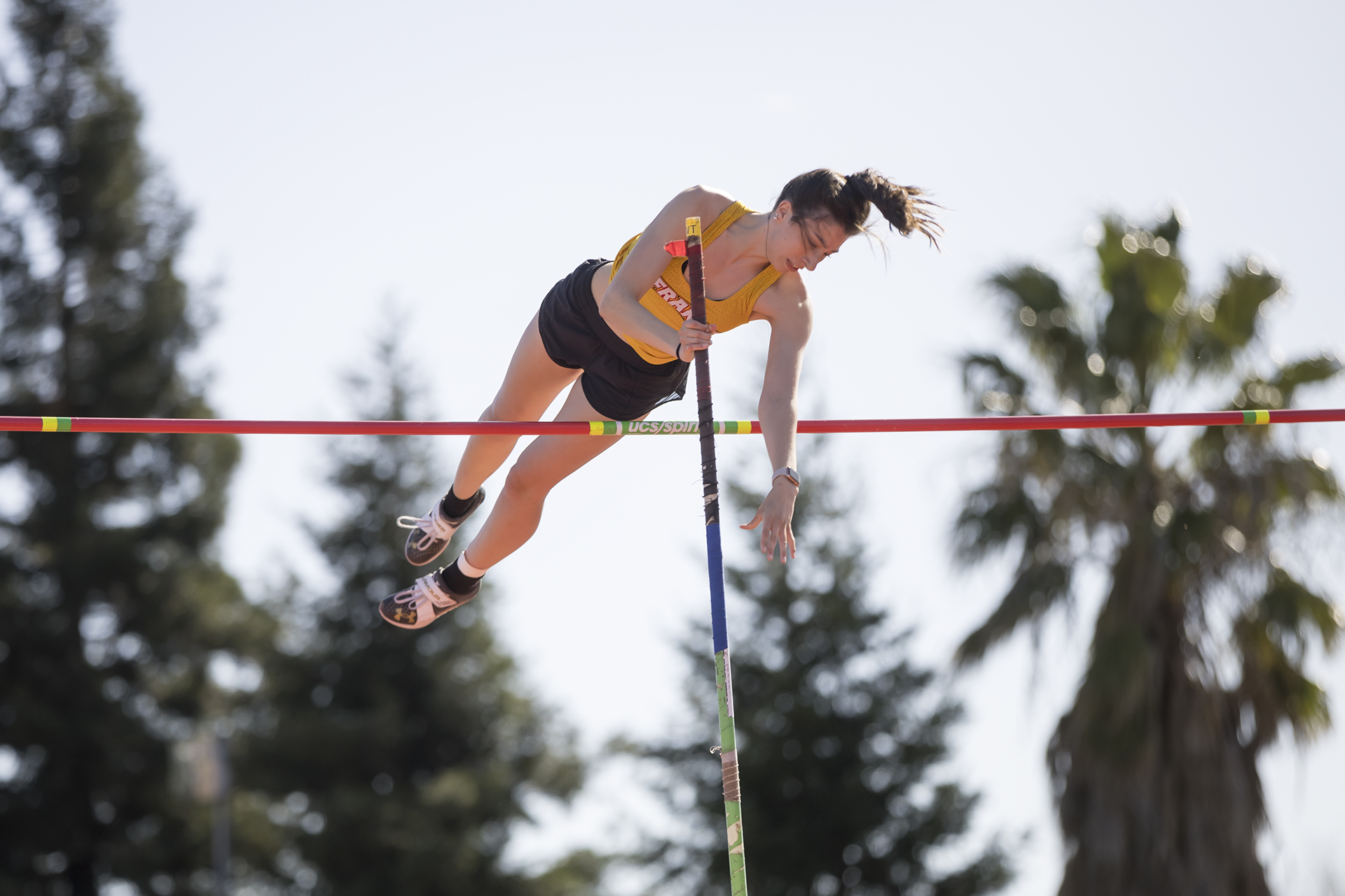 Pelfrey, Towne lead SF at Bronco Roundup