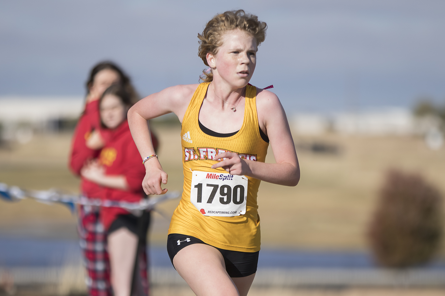 Strawn, Dobson notch race wins at subsections